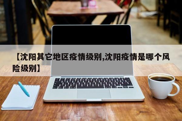 【沈阳其它地区疫情级别,沈阳疫情是哪个风险级别】